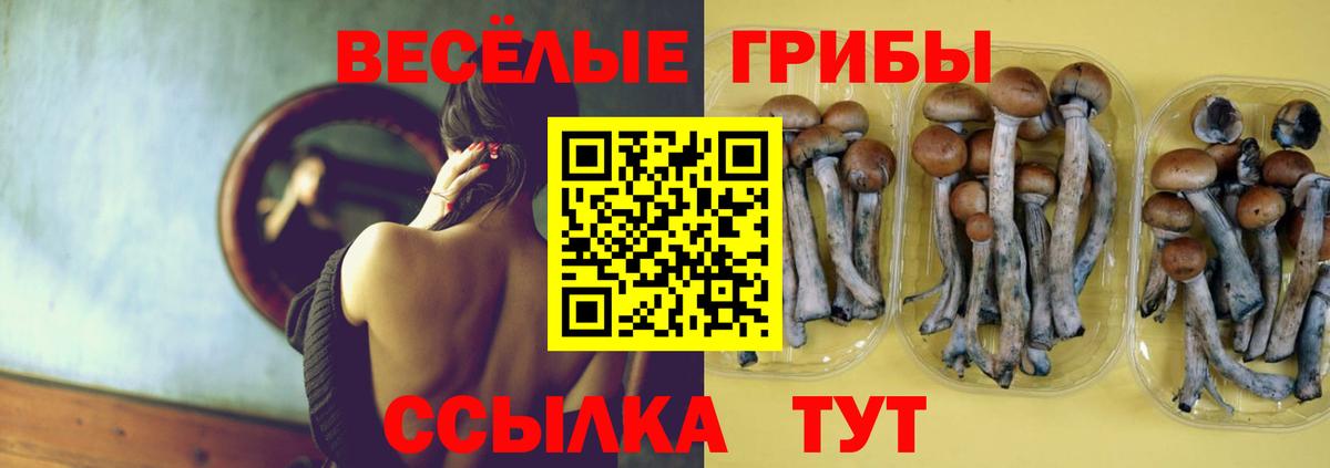 Псилоцибиновые грибы мицелий  где найти   Протвино  Вход с VPN 